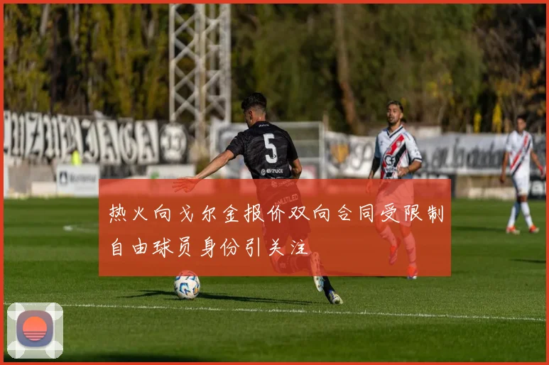 热火向戈尔金报价双向合同受限制自由球员身份引关注